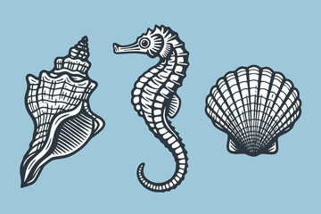 Seahorse seashell engraving black outline vector illustration © Victoria