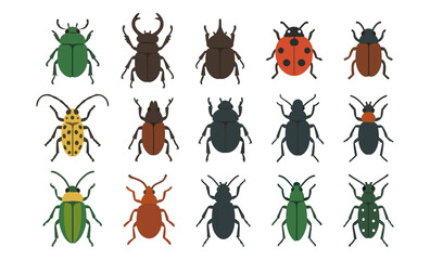 Colorful flat style insect collection featuring diverse beetles and bugs