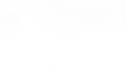 Transparent distressed white grainy texture with dust overlay textured. Grainy noise white...