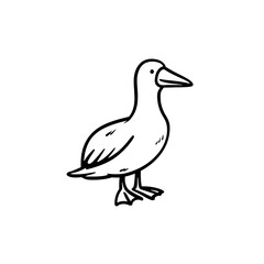 Obraz premium Outline of duck on black shows vector illustration for design.