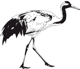 Black vector artwork shows a crane outline on black for wildlife design, artistic presentation, or use as a logo.