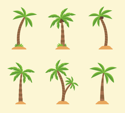 Palm tree collection. Colored vector flat illustration. 
