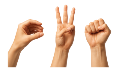 Hand gestures showing holding, grabbing, counting, and fist.