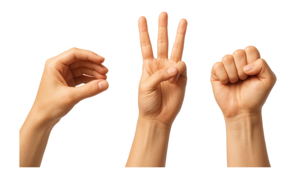 Hand gestures showing holding, grabbing, counting, and fist.