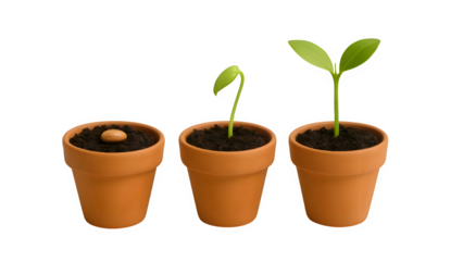Three Pots Showing Seed, Sprout, and Young Plant Stages on Transparent Background
