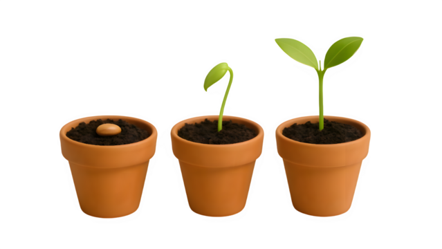 Three Pots Showing Seed, Sprout, and Young Plant Stages on Transparent Background