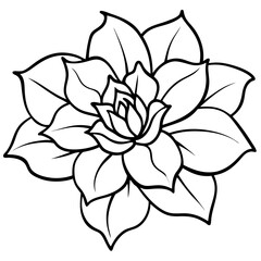 Fototapeta premium Soft Bloom Vector