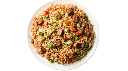 Biryani Isolated transparent on white background