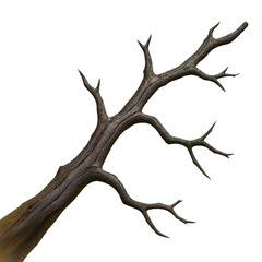 Isolated weathered branch on blackground isolated illustration on transparent background