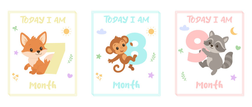 Today i am 7 8 9 months baby milestone cards with cute fox monkey raccoon animals. Baby age monthly cards. Nursery wall art for newborn photo props