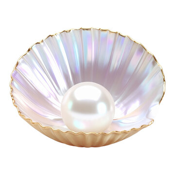 A beautiful white seashell with a large, shiny pearl inside, a symbol of luxury and beauty on a transparent background