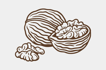 Walnut engraving black outline nut vector illustration