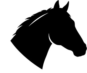 horse head silhouette vector
