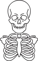 Skull and Ribcage Skeleton Design | Human Body Skeleton Icon | Skeleton Structure