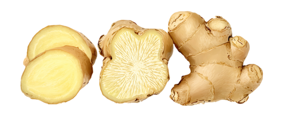 Ginger root, fresh ginger slices, vibrant green leaves isolated on white background, front view, no depth of field, sharp 
