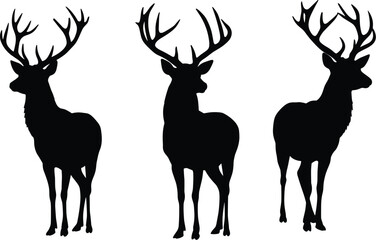 Powerful Red Deer Stag Silhouettes: Set of Three Male Deer with Antlers, Standing Proudly, Black and White Flat Vector Illustrations for Wildlife, Nature, and Hunting.