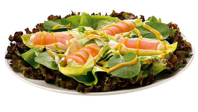 prato com salada de alface, r&uacute;cula e salm&atilde;o defumado isolado em fundo transparente