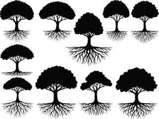 Strong Trees with Roots: Set of Different Tree Silhouettes with Exposed Roots, Black and White Flat Vector Illustrations for Nature and Environment, Forest, and Growth.