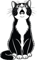Surprised and wide-eyed black and white tuxedo cat sitting and looking up with its mouth open, vector illustration on white background.