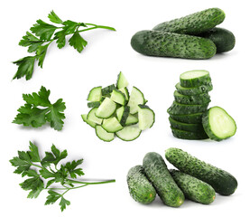 Fresh cucumbers and parsley isolated on white, collage
