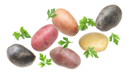 Different types of fresh potatoes with parsley flying on white background