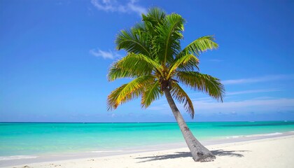 A vibrant tropical beach scene showcases a leaning palm tree against a clear turquoise ocean and bright blue sky.