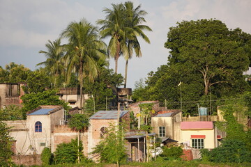 Obraz premium Tropical Residential Area with Palm Trees – Sunlit Houses Surrounded by Lush Greenery