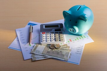 Personal finance and budgeting with piggy bank and indian rupees