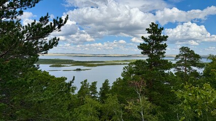 lake in the forest