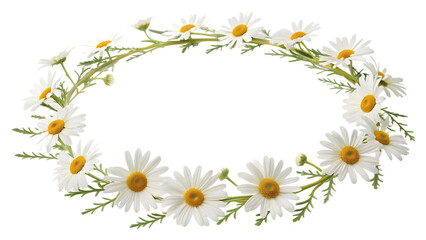 Fototapeta premium Daisy flower wreath with white petals and yellow core