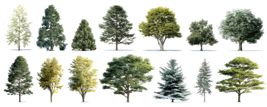 Variety of trees in a grid format