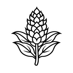 amaranthus flower line art