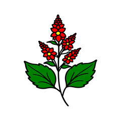 astilbe flower vector icon