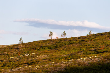 Empty landscape in Swedish mountains with scattered rocks in early summer morning light