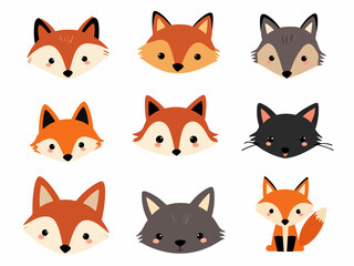 Obraz premium set of red fox