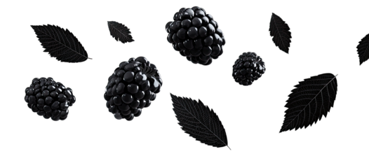 Blackberries and leaves float against a black background