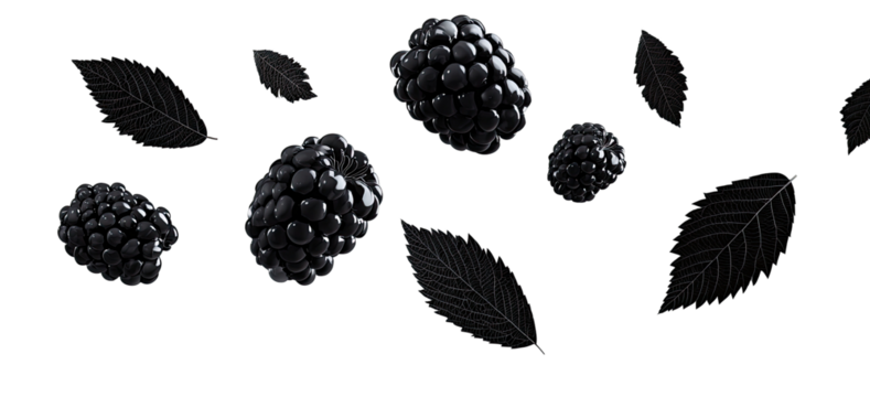 Blackberries and leaves float against a black background