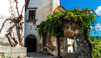 Fototapeta premium An aged, weathered stone building, adorned with vibrant green vines, and a gnarled, ancient tree trunk, in a sun-drenched alleyway.