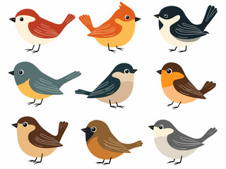Set of birds, collection of birds	