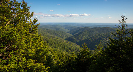 Fototapeta premium Scenic mountain landscape with dense evergreen forests stretching across a vast green valley