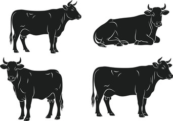 Four cow illustrations in different poses and positions, detailed vector art for farm animal themes, agriculture design, decorative, and educational uses