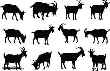 Collection of goat silhouettes in various poses, including grazing, standing, and eating, in black and white vector illustrations, isolated on white background.