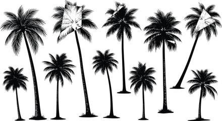 Nine diverse palm tree silhouettes with unique shapes, tropical foliage details, vector illustration for nature themes, travel design, and decorative projects
