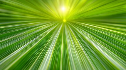 Obraz premium Abstract Green Background with Bright Light and Blurred Lines Radiating from Center in Natural Environment