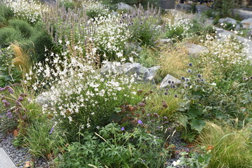 Jardin de rocaille en été