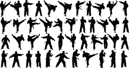 Martial arts silhouette, combat stance, self defense, karate kick, boxing punch, taekwondo move, fighting technique, sports discipline, action pose, training scene