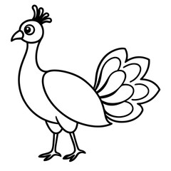 peacock vector illustration