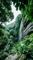 Fototapeta premium Waterfall flows in lush green Saint Lucia
