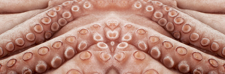 Macro Shot of Whole Frozen Octopus with Big Tentacles Closeup