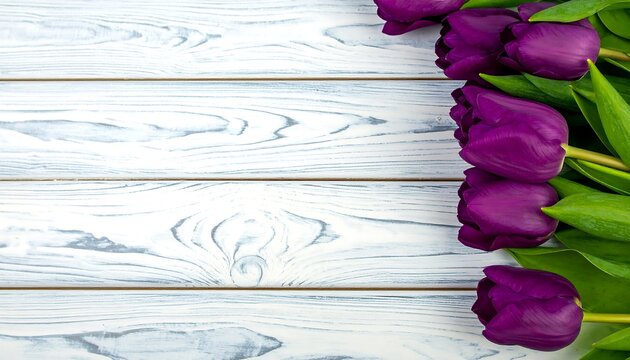 A bouquet of deep purple tulips arranged against a backdrop of light gray, distressed wooden planks.
